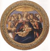 Sandro Botticelli Madonna and child with six Angels or Madonna of the Pomegranate France oil painting artist